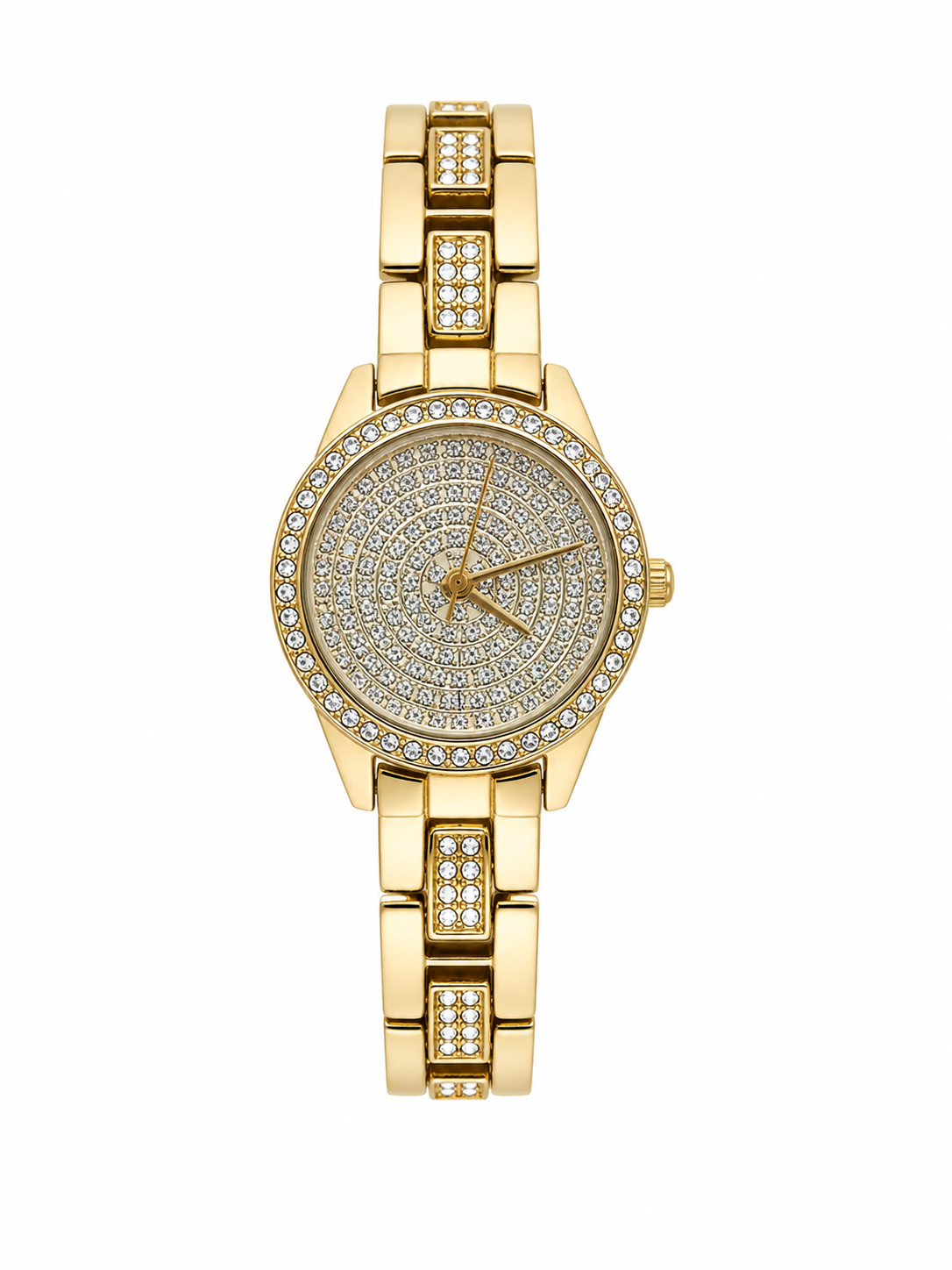 Ladies Premium Watch