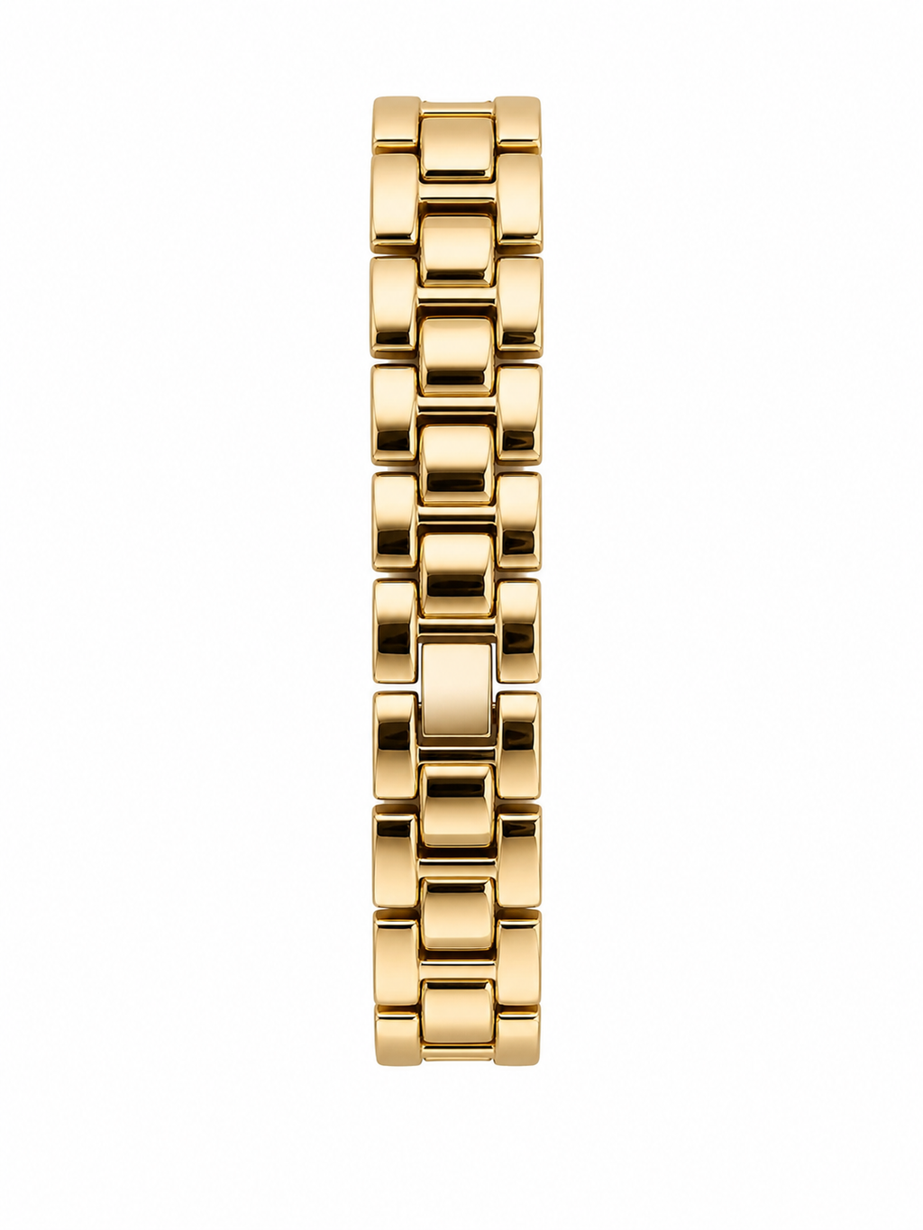 Ladies Premium Watch
