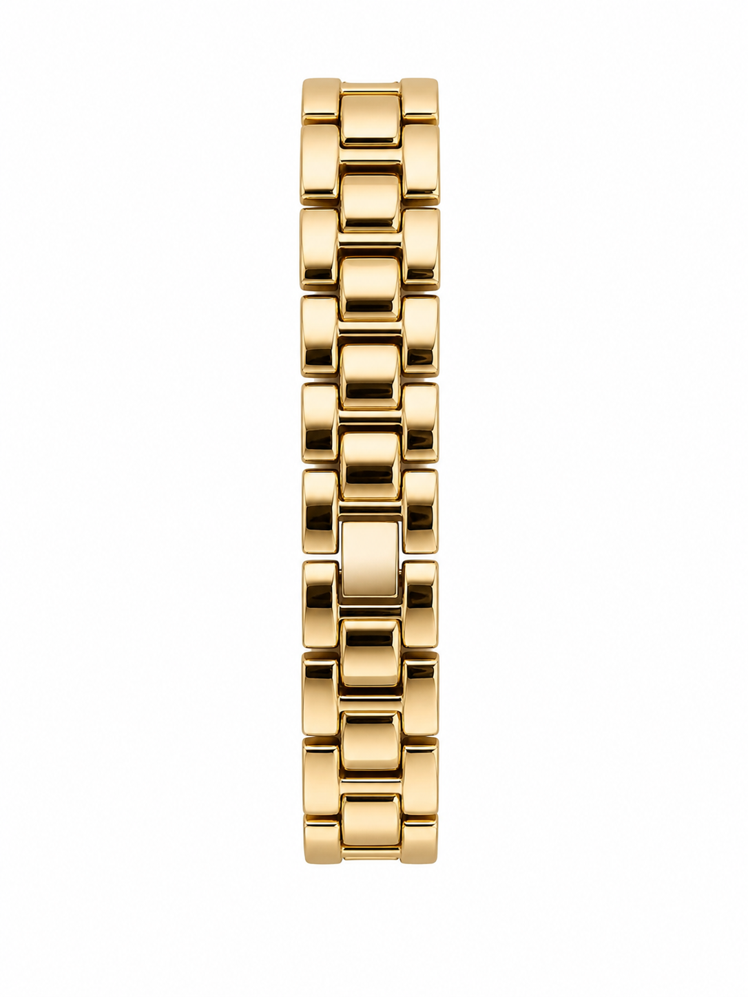 Ladies Premium Watch